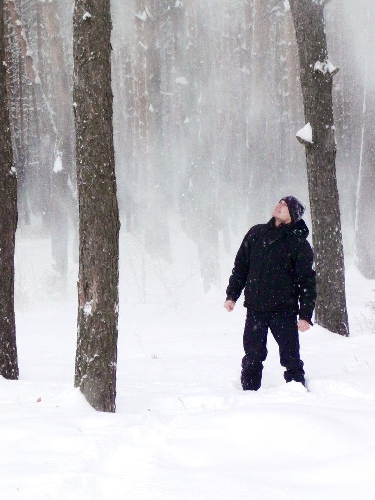 Denis Radushinskiy | Житомир