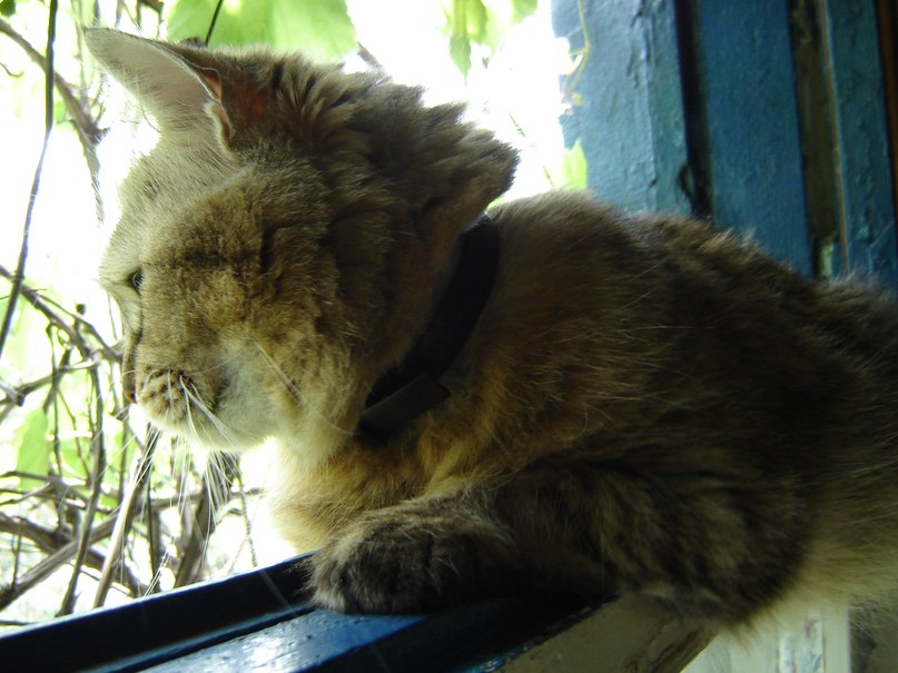 Olga Purik | Харьков