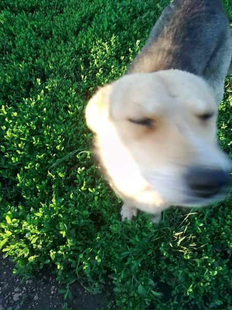 №57, Айгуль Абзалова, 35 лет, Уфа №57, Айгуль Абзалова, 35 лет, Уфа