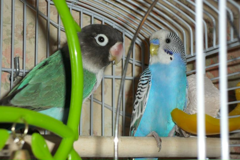 Василий Злобин | Санкт-Петербург