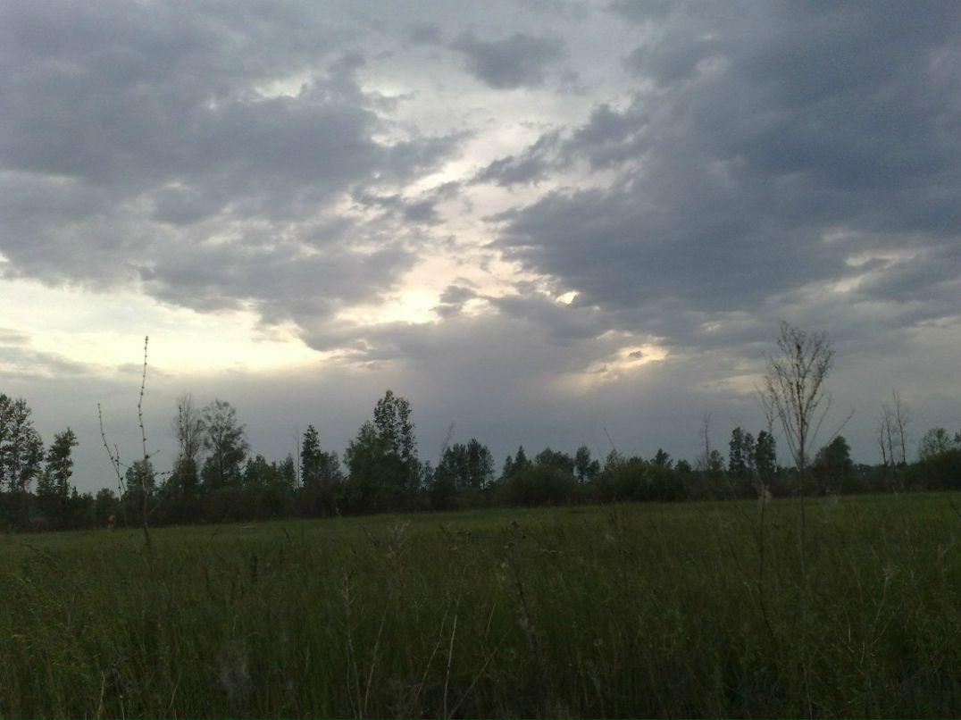 Игорь Глазков | Самара