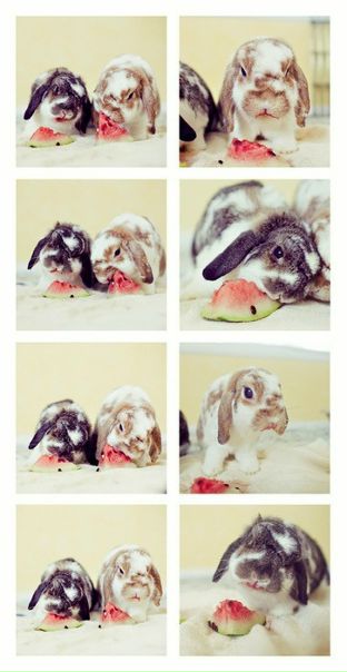 №98, Елена Кемежук №98, Елена Кемежук