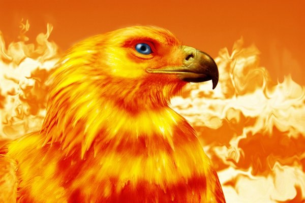 Вадим Каримов | Кармаскалы