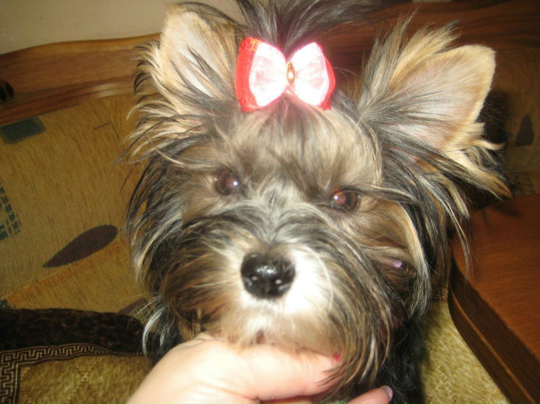 Татьяна Васильева | Санкт-Петербург