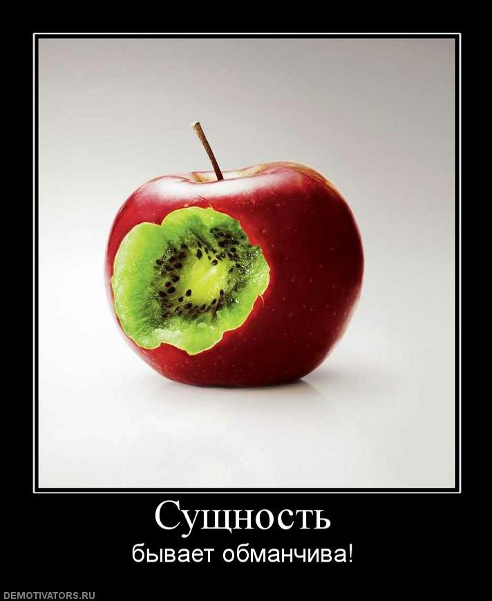 Полина Кот | Новосибирск