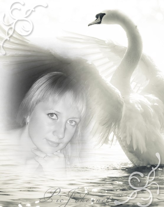 Светлана Жученко | Буча