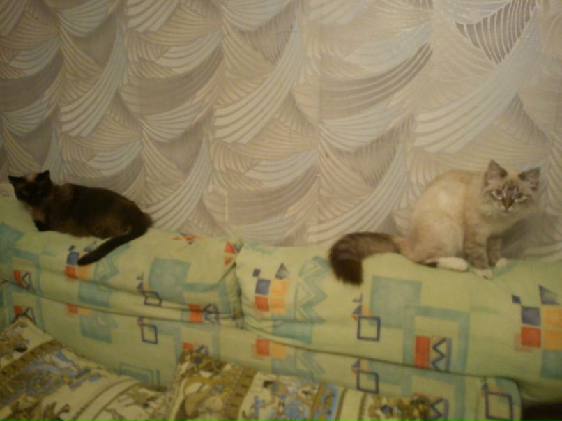 Елена Худышкина | Екатеринбург