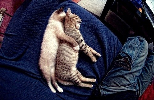 Lil Шоня | Москва