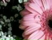 Татьяна Кармазин | Киев