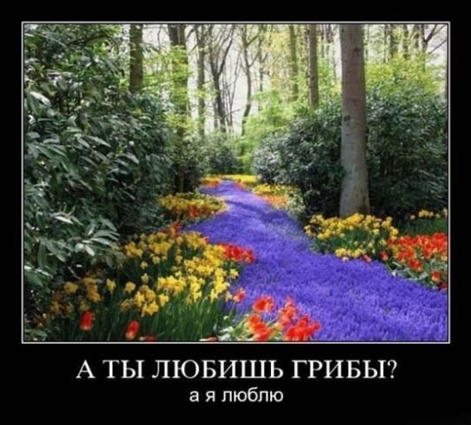 №5, Глеб Сосой, 35 лет, Дмитров №5, Глеб Сосой, 35 лет, Дмитров