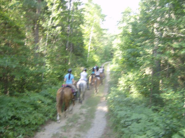 Сергей Сидоренко | Toronto