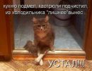№31 Игорь Истратьев 01.05: профиль, фото, статус - ВКонтакте