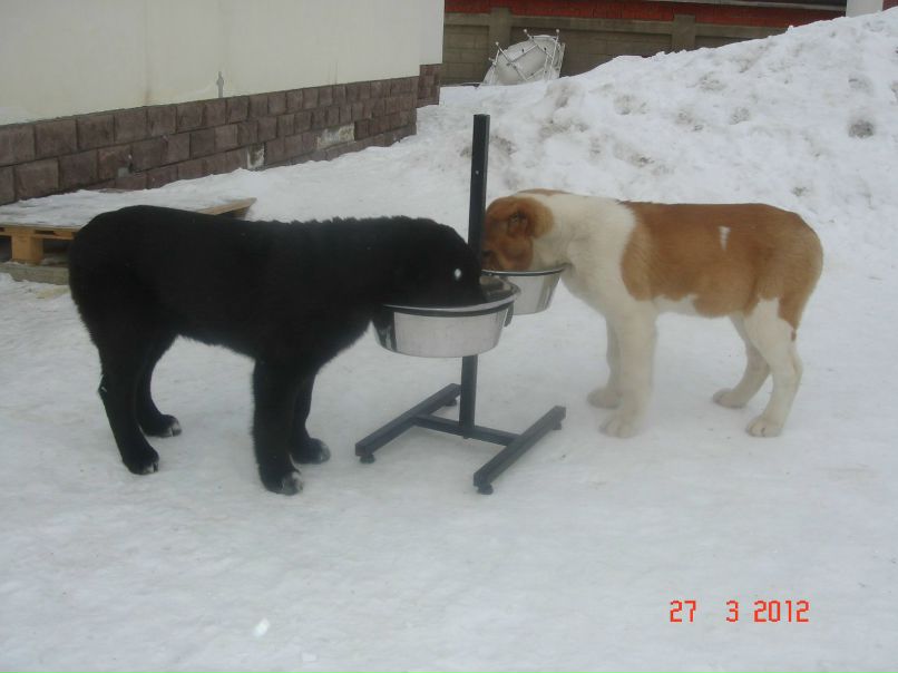 Юрий Варзов | Санкт-Петербург
