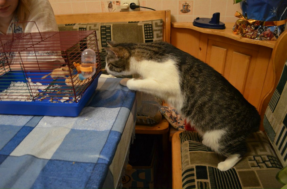 Любовь Лой ☼Слоечка^^☼ | Балахна