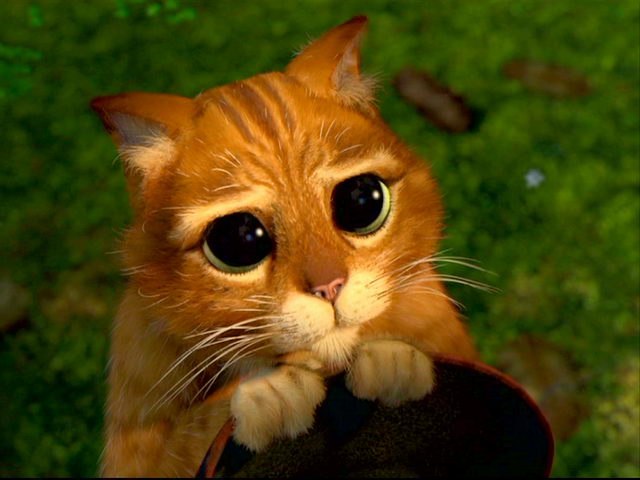 Иван Бунин | Омск