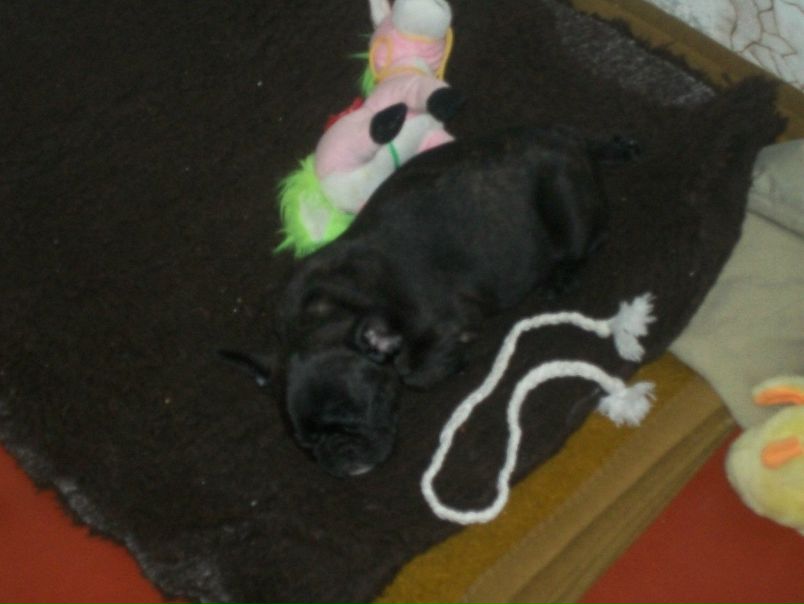 №39, Михаил Прохоров, 46 лет, Харьков №39, Михаил Прохоров, 46 лет, Харьков