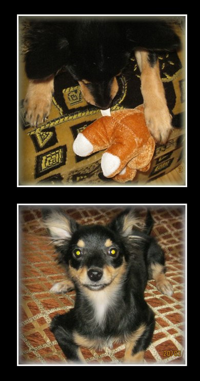 Кристина Круглова | Горловка