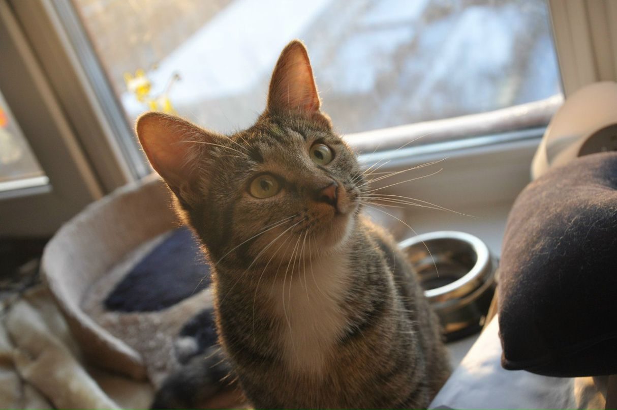 Натали Манькова | Санкт-Петербург