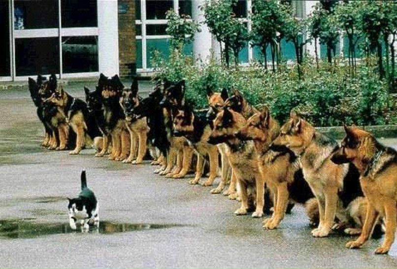 Рамиль Бариев | Санкт-Петербург