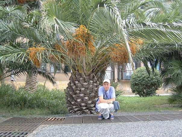 №17, Дмитрий Ермизин, 26.3.1985 №17, Дмитрий Ермизин, 26.3.1985