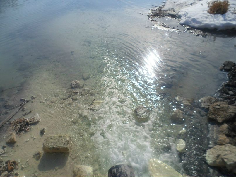 Ольга Акимова | Лыткарино