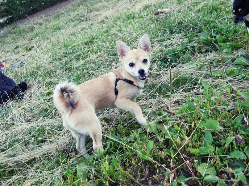 Димка Шутегов | Пермь