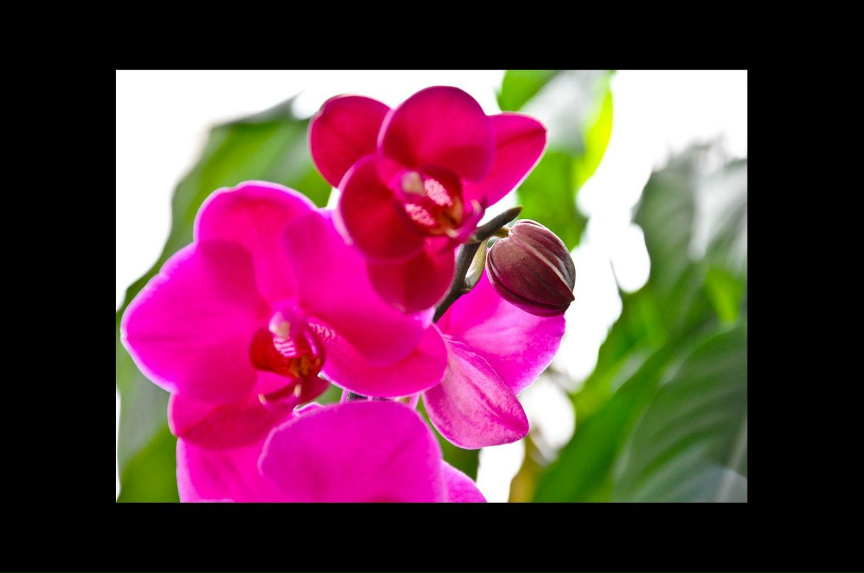 Татьяна Строковская MEL | Киев