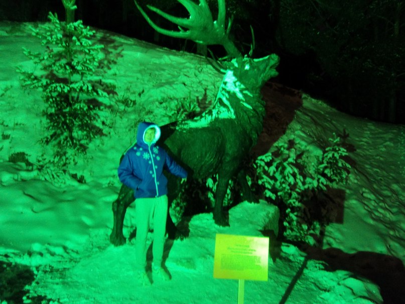 Дмитрий Чусовитин | Тюмень