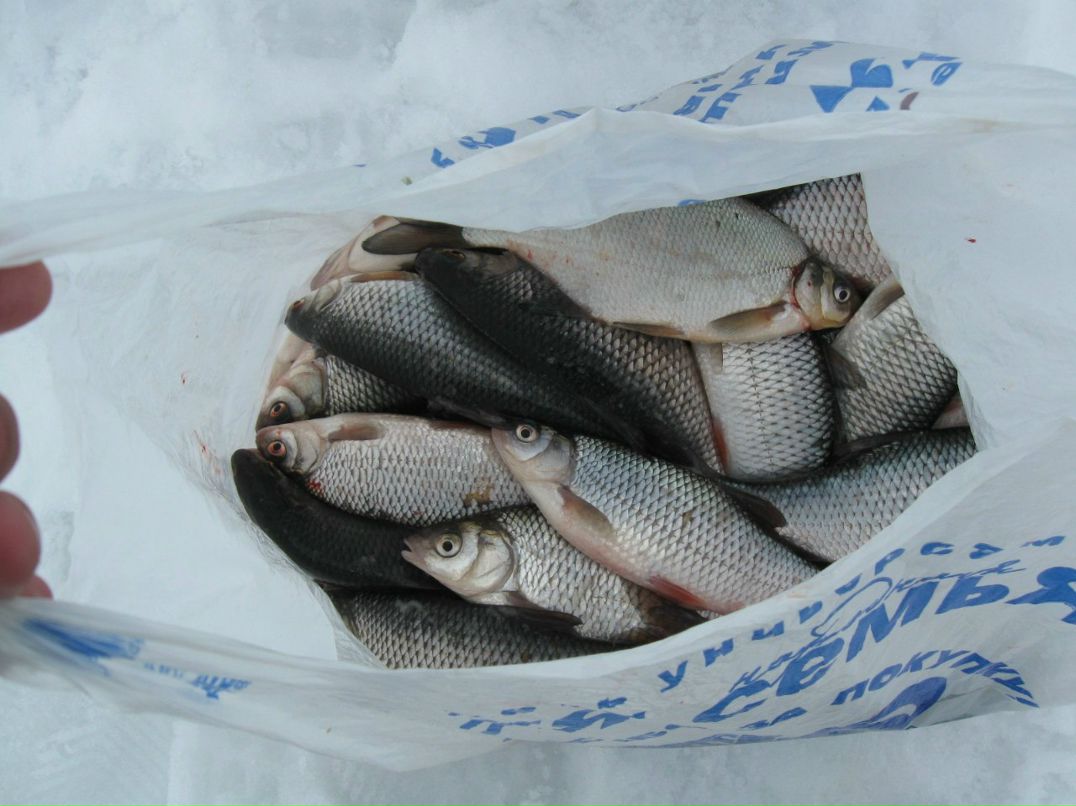 Алексей Гора | Санкт-Петербург