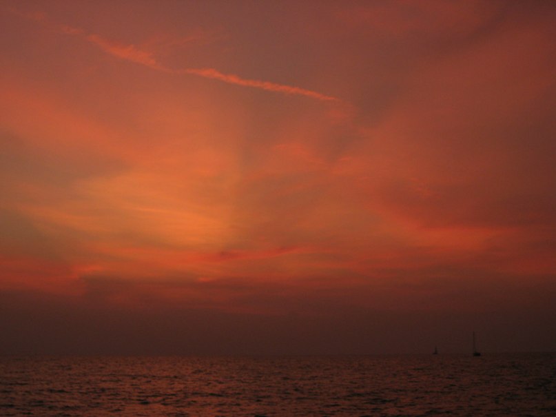 Наталья Поликарпова | Красноярск