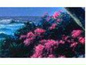 Галечка Тиханович-Кравченко | Гомель