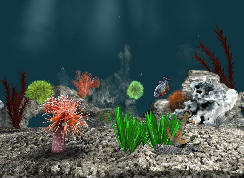 Станислав Иванов | Санкт-Петербург