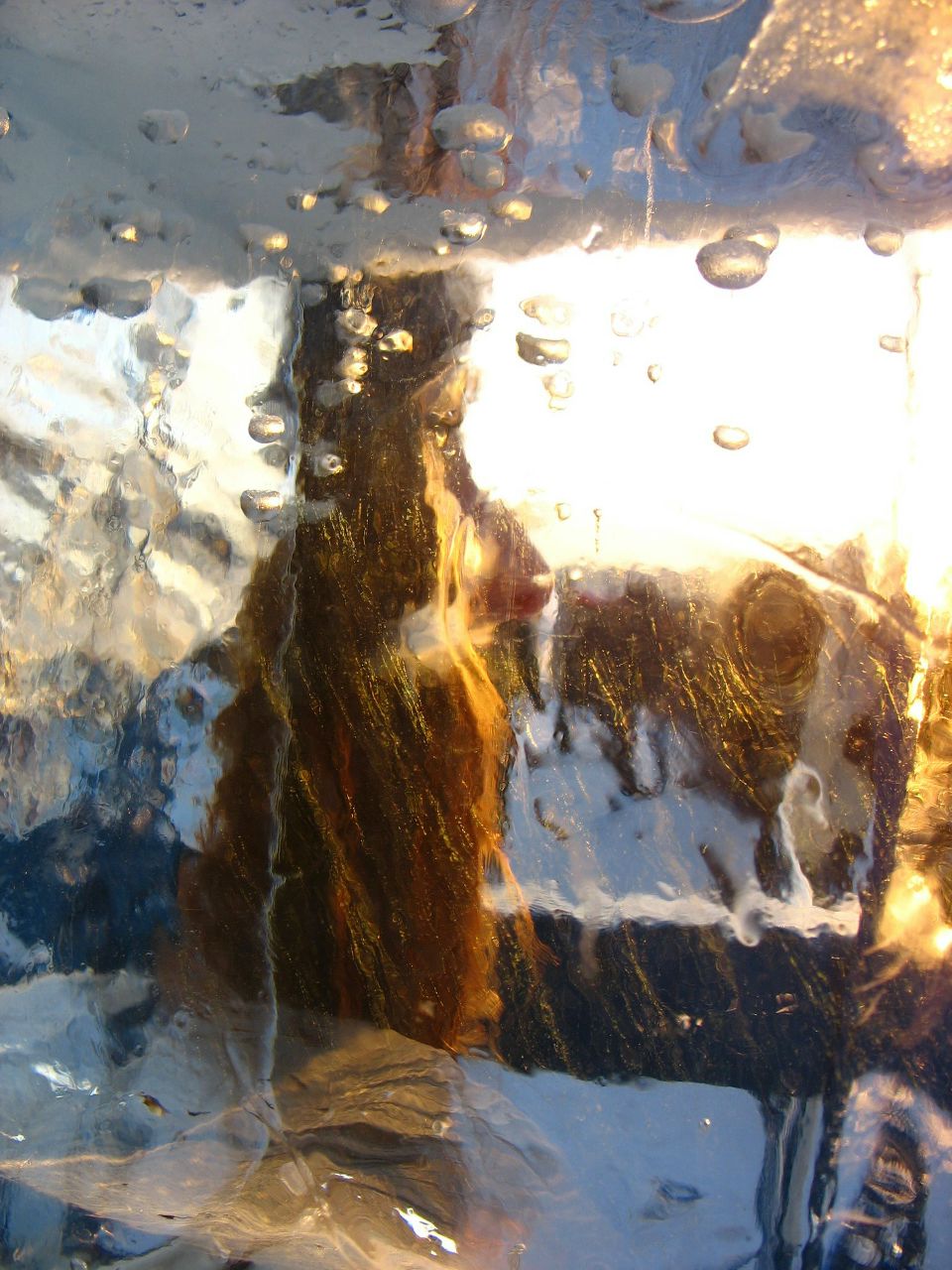 Оля Тарасова | Новосибирск