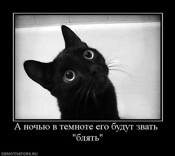 Владимир Бершадский | Орехово-Зуево