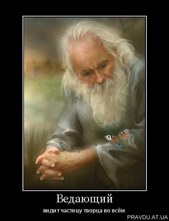 Андрей Афанасьев | Вязьма