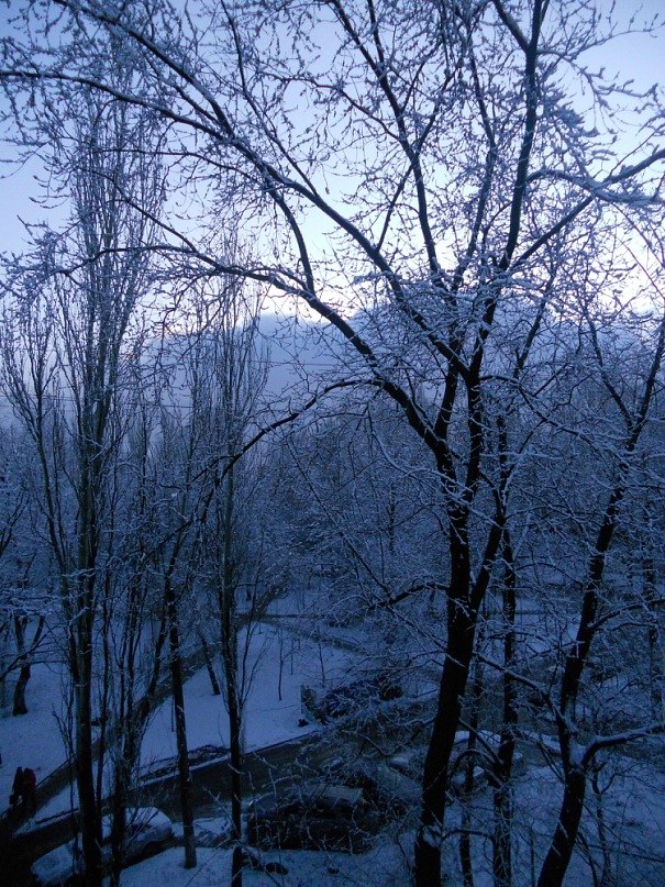 Анна Игнатова | Донецк