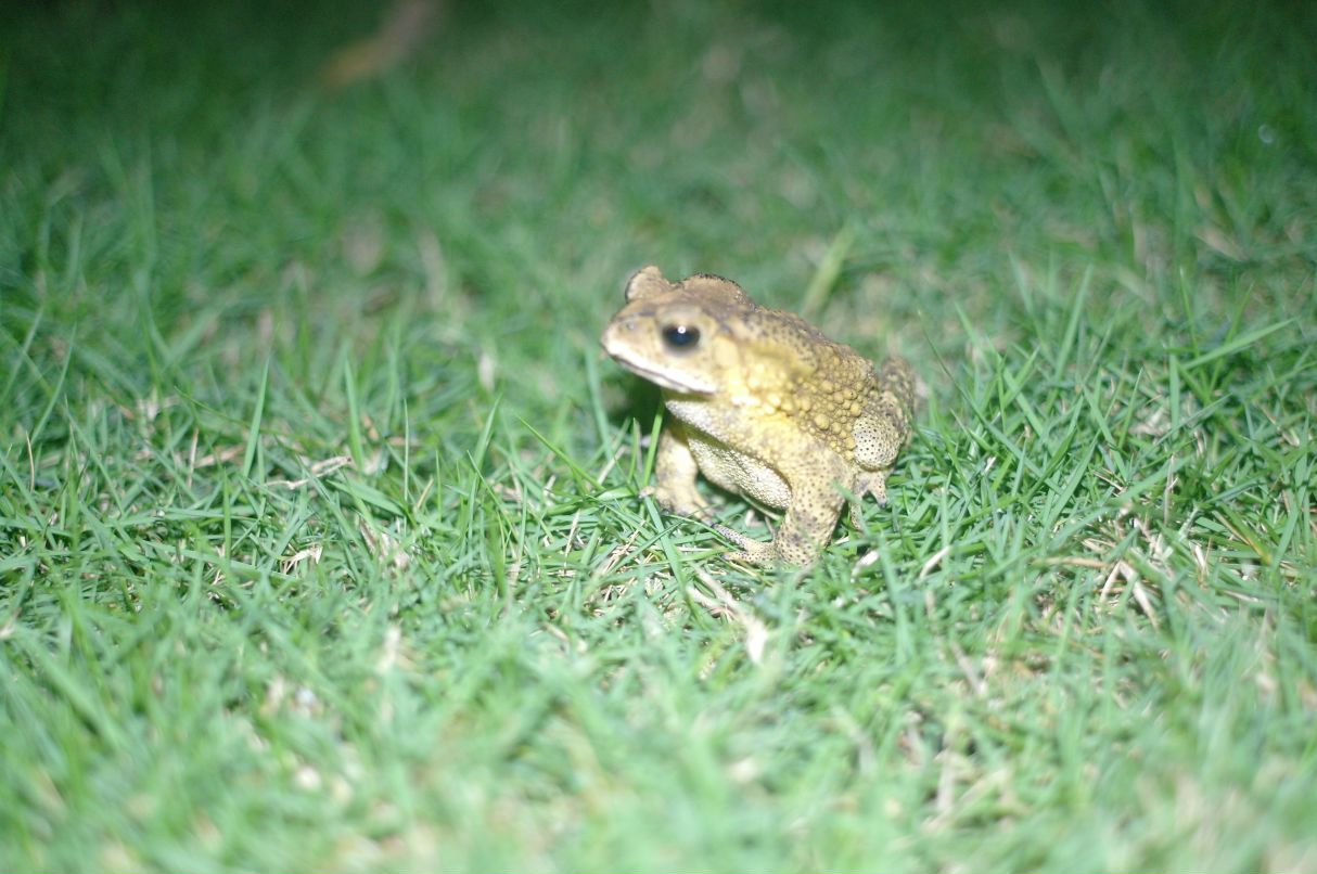 Аня Кулакова | Петрозаводск