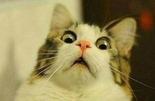 №58, Максим Черевко, 44 года, Арзамас №58, Максим Черевко, 44 года, Арзамас