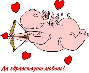 Ольга Кушнир SOVa | Киев