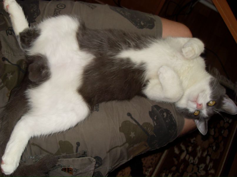 Андрей Громаков | Славный