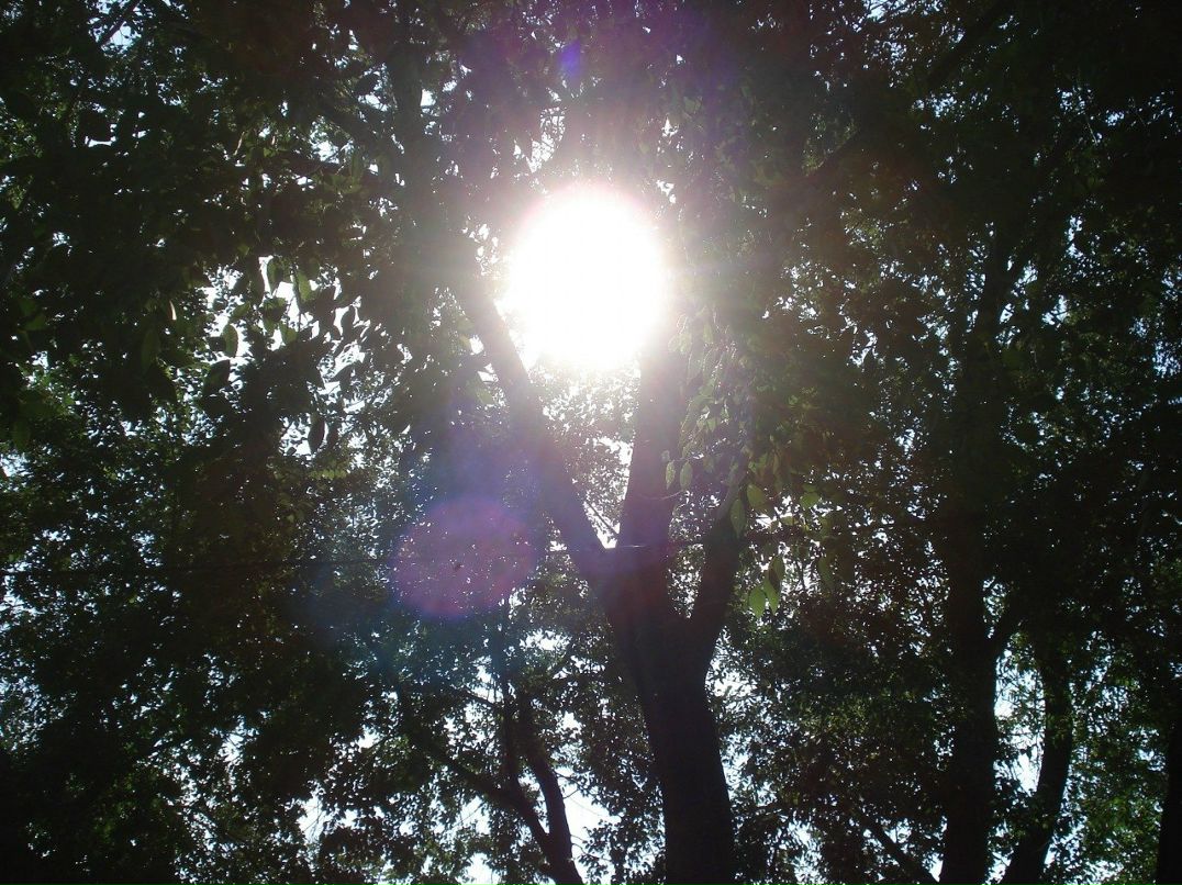 Алексей Завьялов | Москва