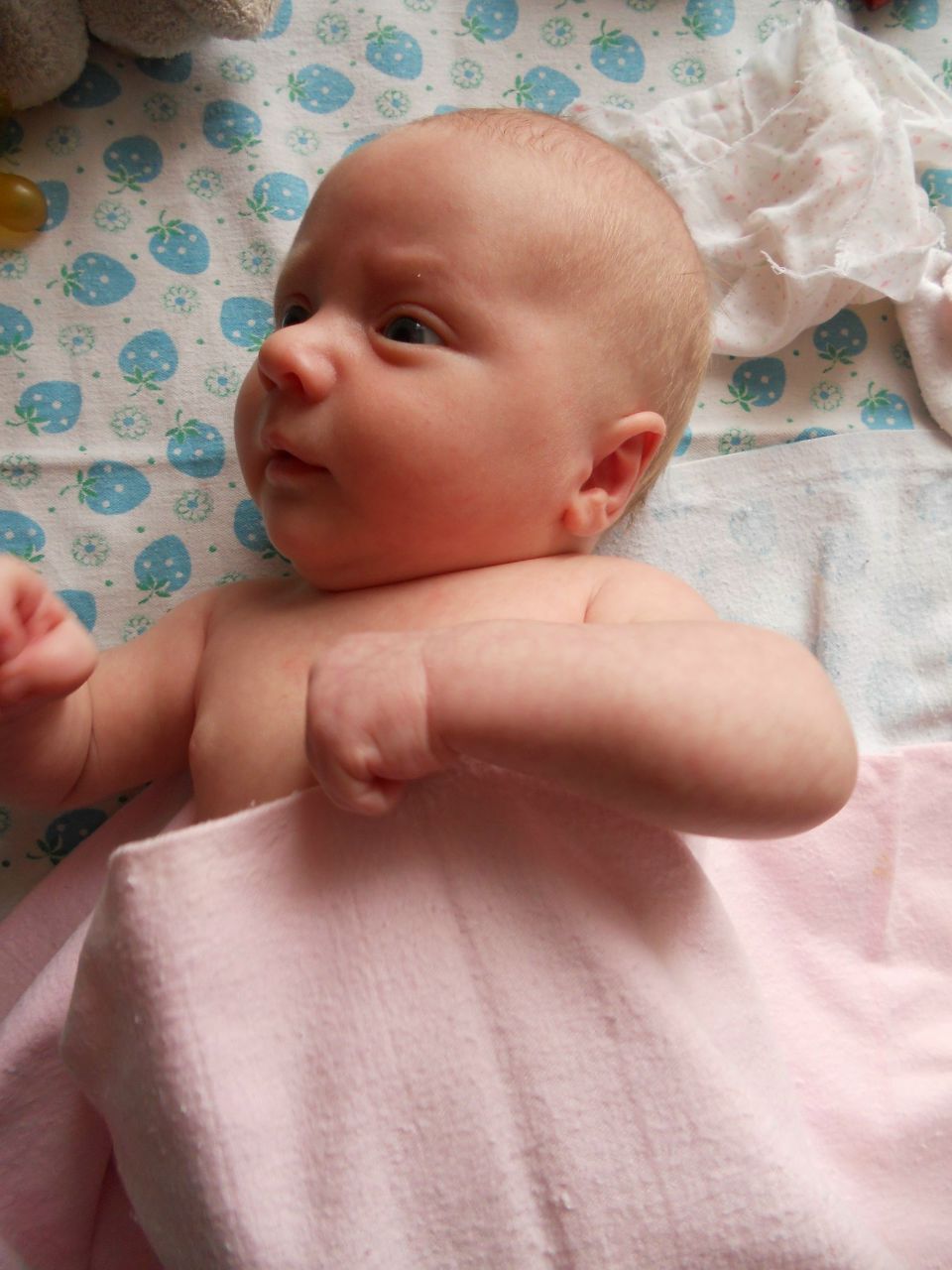 Михаил Матвеев | Бердянск