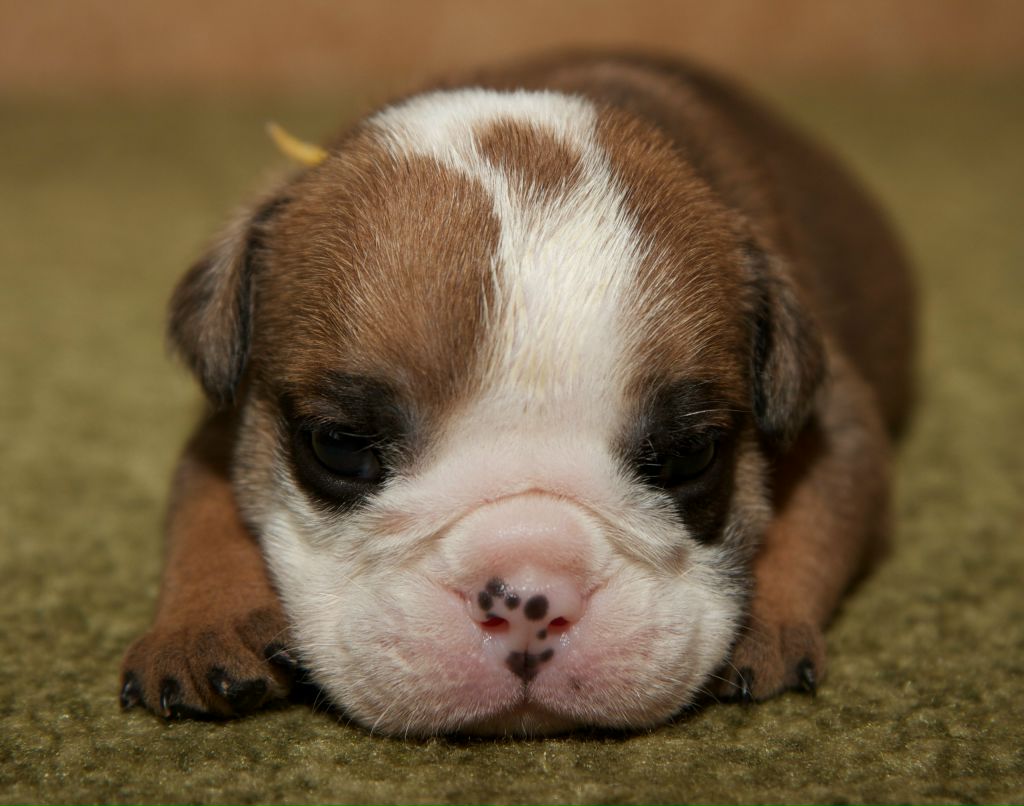 Сергей Александрович | Вологда