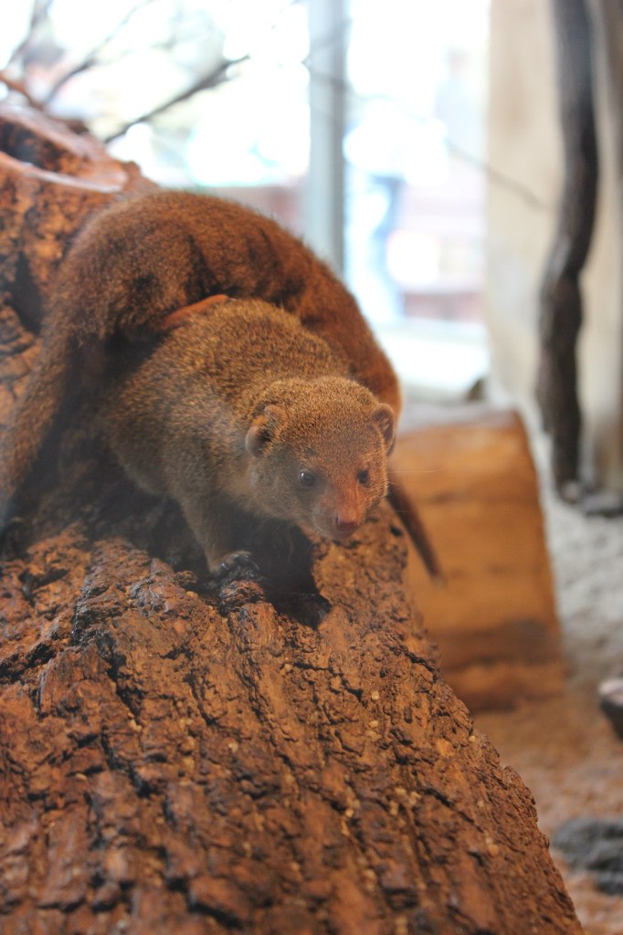 Кирилл Смирнов | Санкт-Петербург
