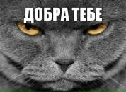 №17, Филипп Белозёров, 9.12.1989, 36 лет, Москва, Россия