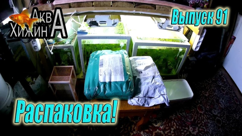 УФ стерилизатор, USB микроскоп с Алиэкспресс (Аква Хижина,