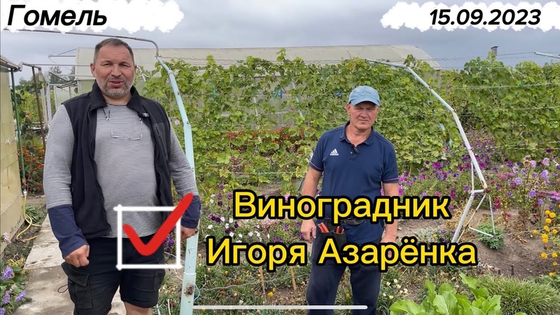 9 Гомель в гостях на винограднике Игоря Азарёнка. Часть 1,