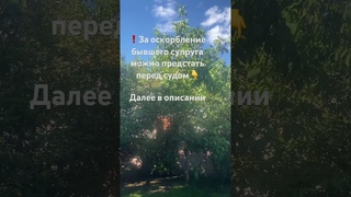 За оскорбление бывшего супруга можно предстать перед судомдалее в описании