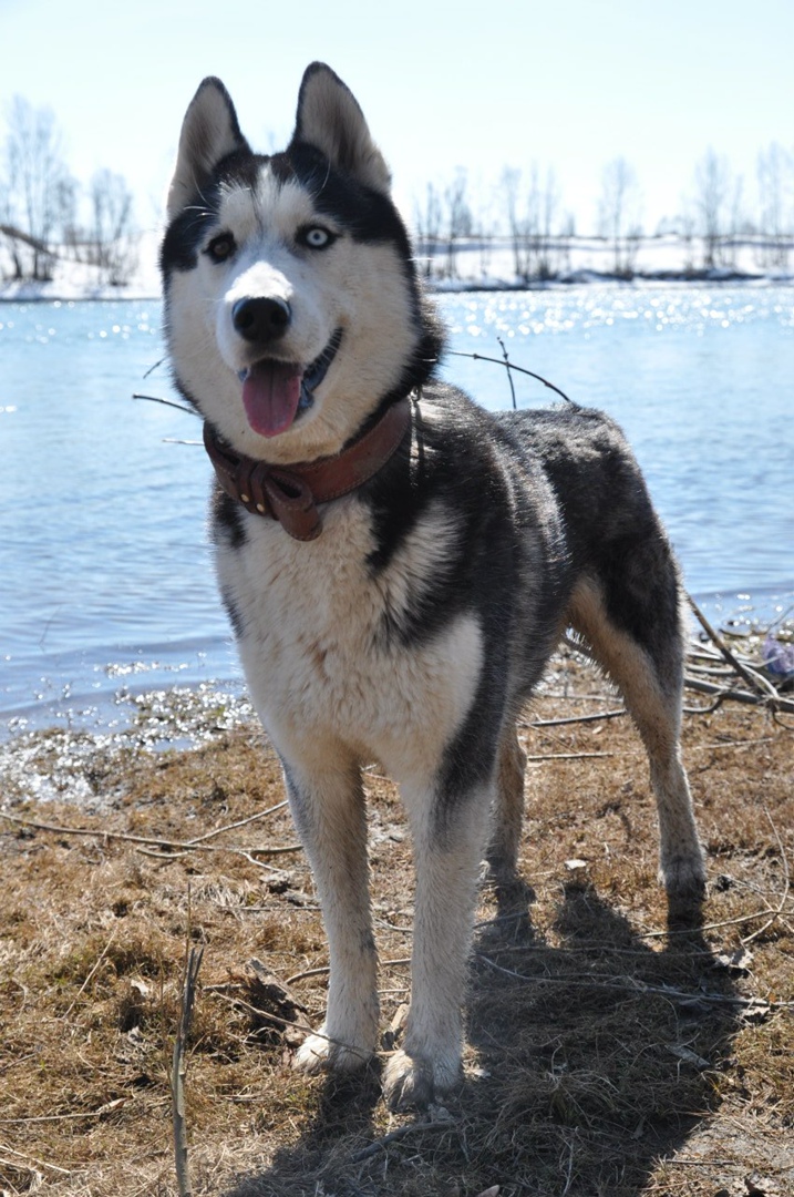 Мария Лынник ...чересчур... | Уфа