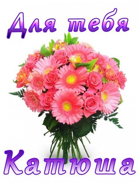 День катюша картинки. Цветы для Катюши. Букет для Кати. Открытки для Катюши. Букет цветов для Кати. День катюша картинки. Цветы для Катюши. Букет для Кати. Открытки для Катюши. Букет цветов для Кати.